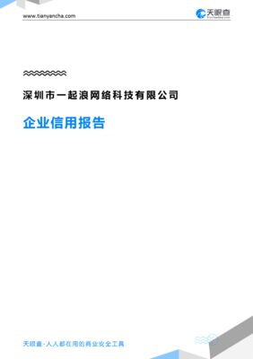 深圳市一起浪网络科技(企业信用报告)- 天眼查