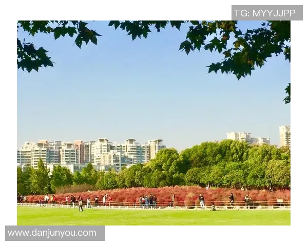 张昊：从平凡到卓越的奋斗历程与人生感悟分享