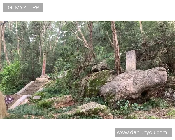 雷法山口与赞的较量探讨两者的历史渊源与文化影响 雷法山口与赞的较量探讨两者的历史渊源与文化影响